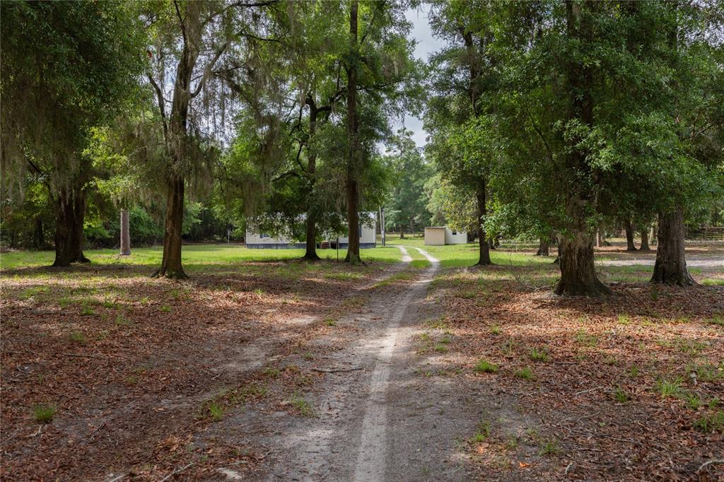 4950 80 Street Chiefland, FL 32626 - Photo 50 of 68 a view of park with trees