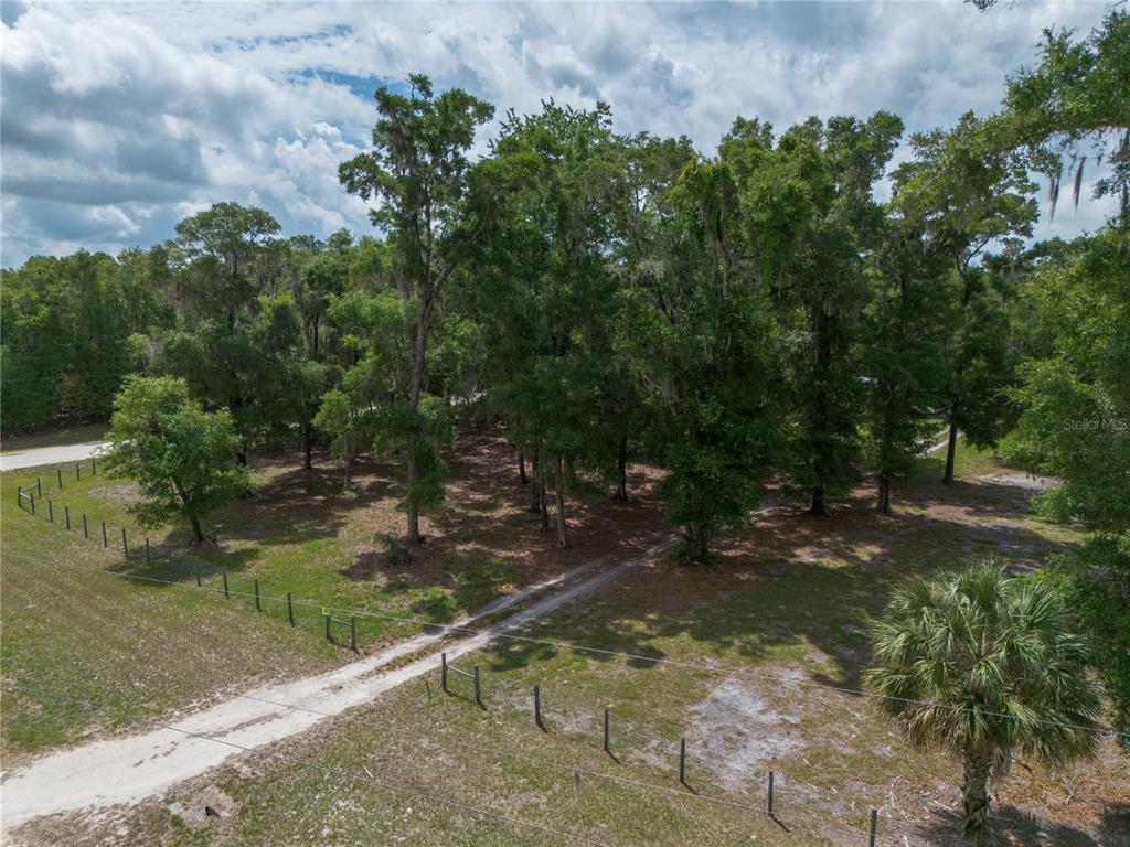 4950 80 Street Chiefland, FL 32626 - Photo 52 of 68 a backyard of a house with lots of green space