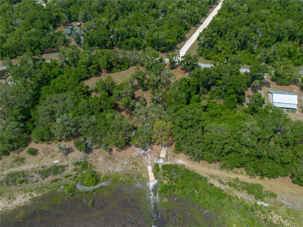 4950 80 Street Chiefland, FL 32626 - Photo 61 of 68 a view of a lush green forest with lawn chairs
