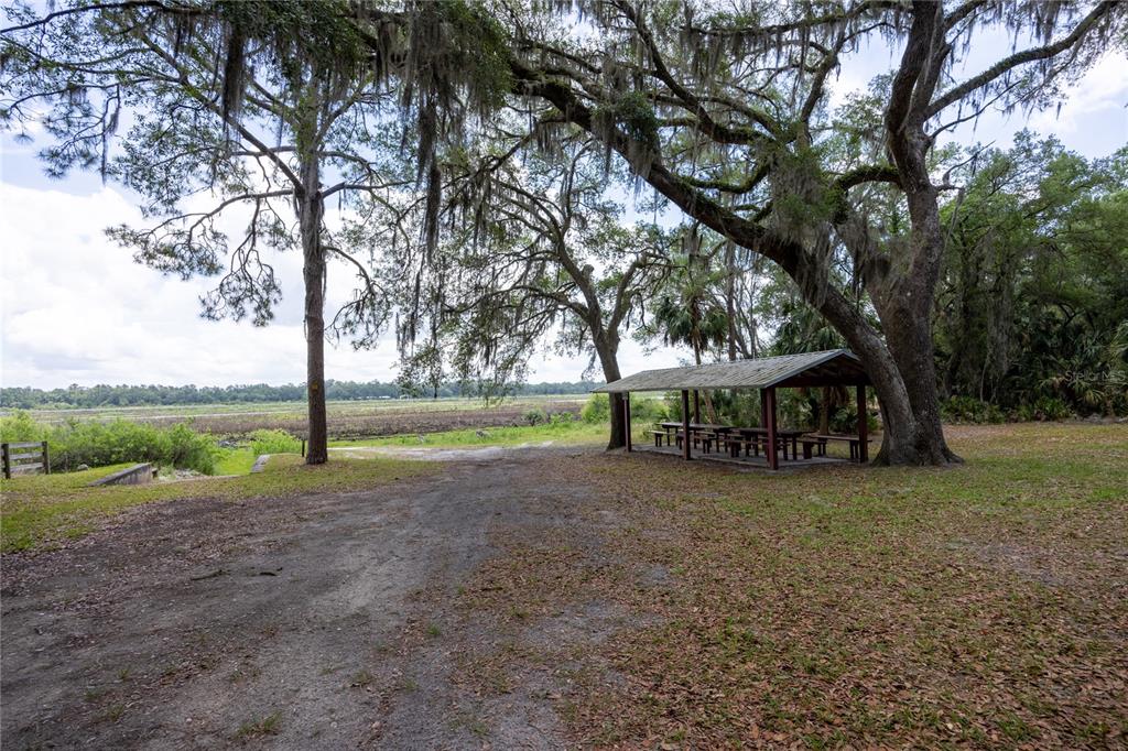 4950 80 Street Chiefland, FL 32626 - Photo 64 of 68 a view of a house with large trees and a yard