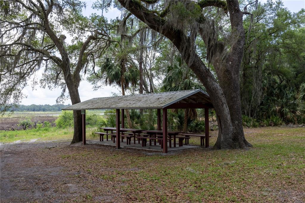 4950 80 Street Chiefland, FL 32626 - Photo 65 of 68 a view of a yard with porch and garden