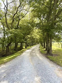 $1,899,000 | 4235 Little Pond Lane, Thompson's Station, TN 37179