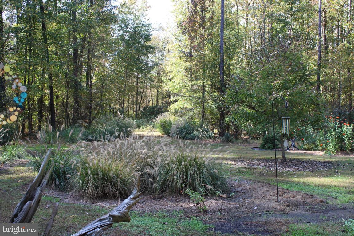 12838 Loretto Road Princess Anne, MD 21853 - Photo 3 of 27