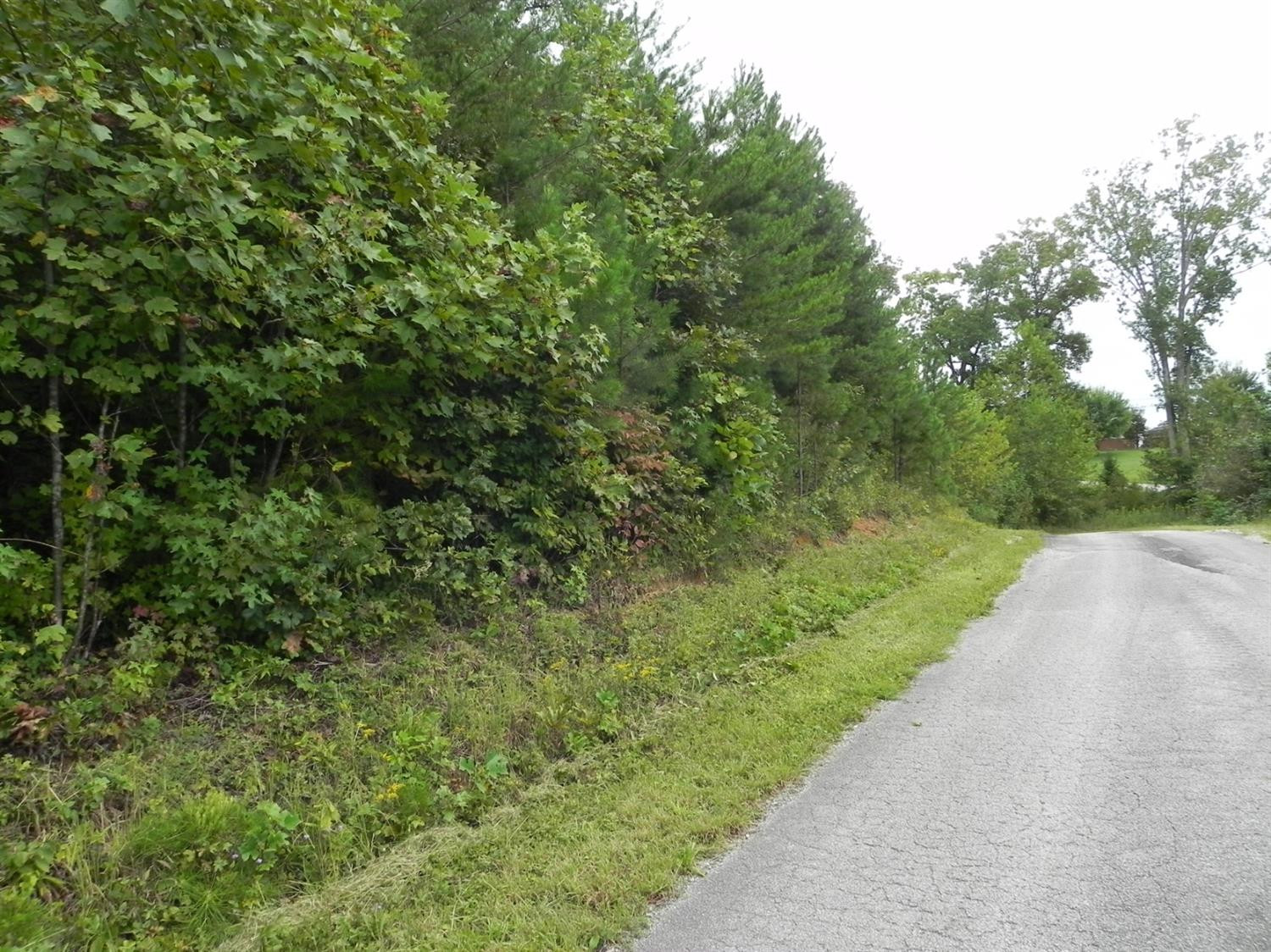 1111 Nora Belle Road London, KY 40741 - Photo 7 of 12 Photo 7