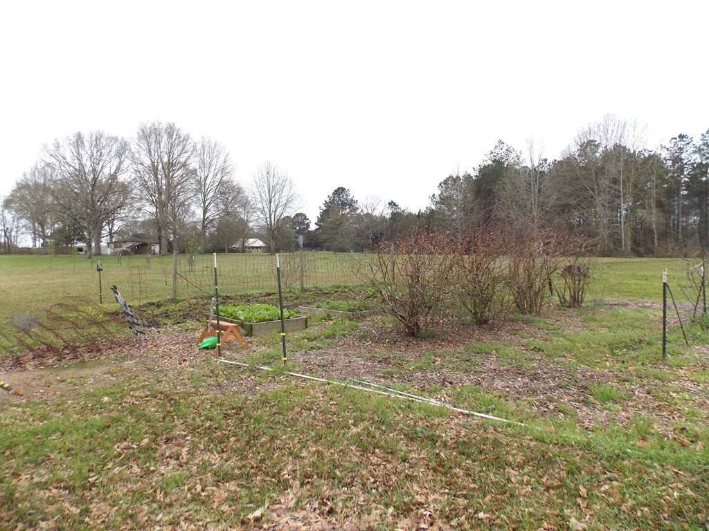 3147 Magnolia Holmesville Road Magnolia, MS 39652 - Photo 24 of 26 Photo 24