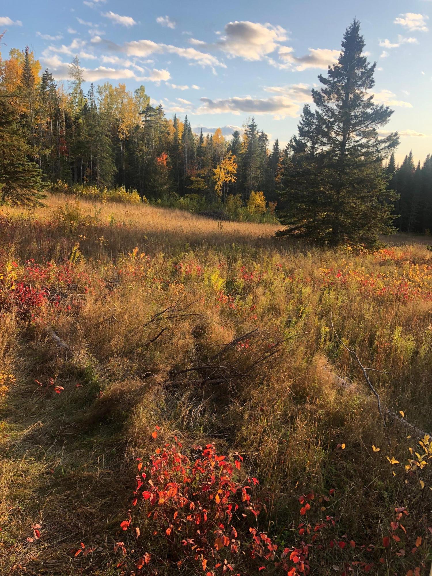 2016 Washburn Road Washburn, ME 04786 - Photo 47 of 51 IMG_2306