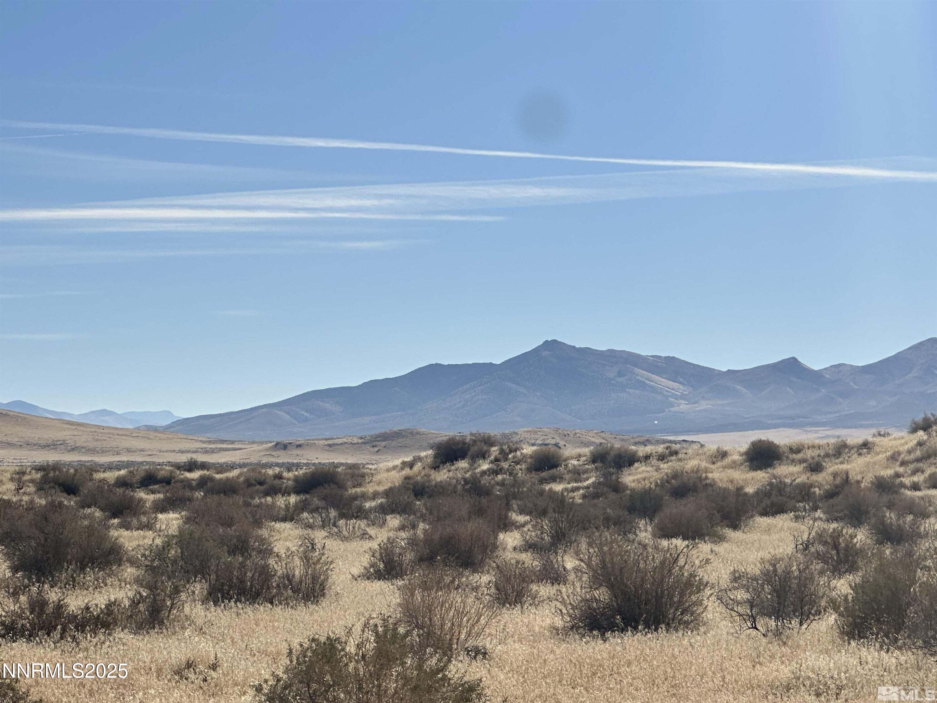 5044703 Jungo Road Winnemucca, NV 89445 - Photo 4 of 5 Picture 4
