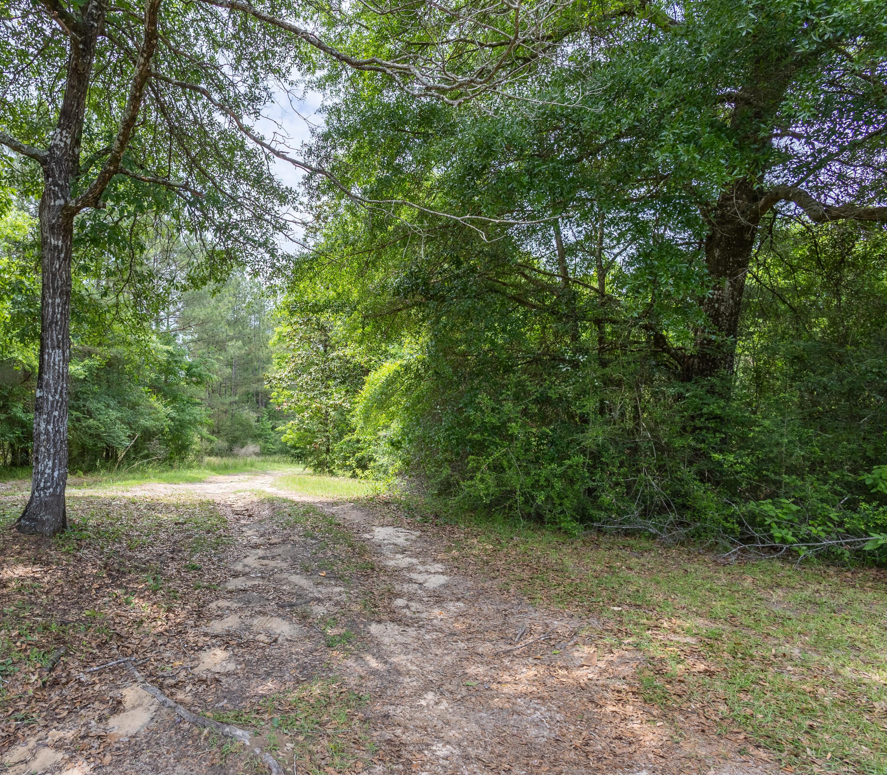 1528 North Pumping Station Road Ovett, MS 39464 - Photo 26 of 31 DRIVEWAY