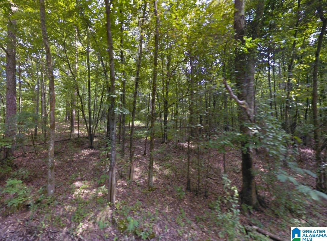 Renfroe Road Alpine, AL 35014 - Photo 11 of 14