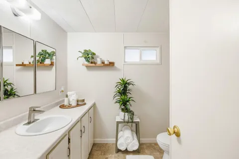 a bathroom with a sink a mirror and a potted plant