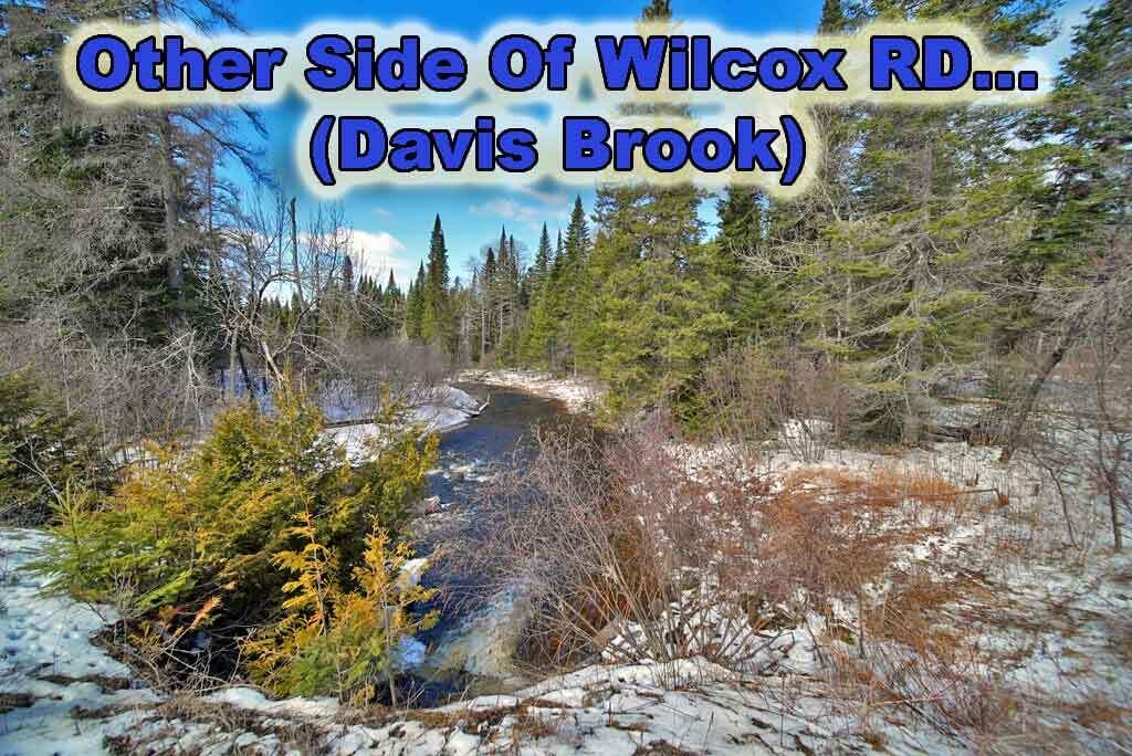 Lot 13 Wilcox Road Orient, ME 04471 - Photo 11 of 24 hunting-fishing-land