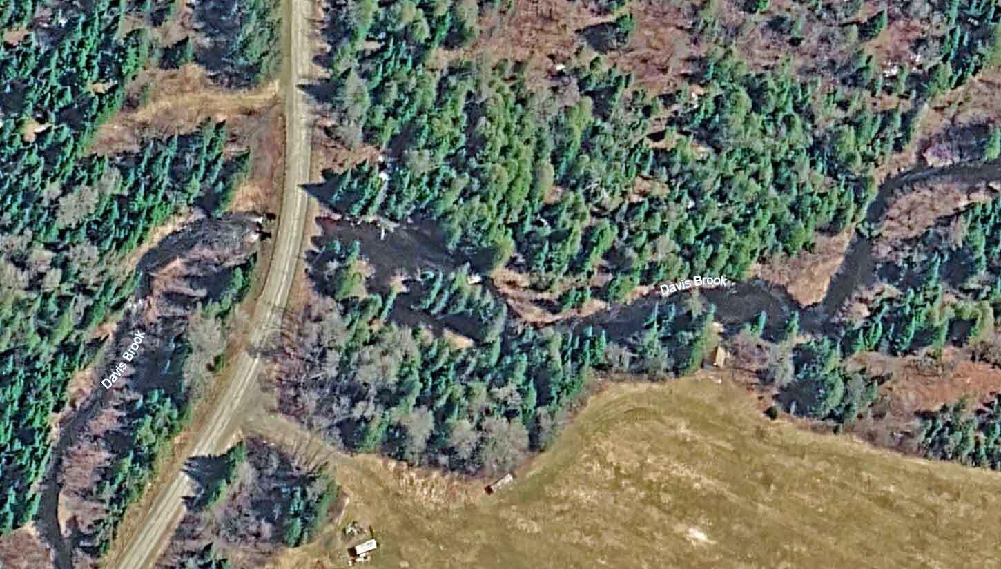 Lot 13 Wilcox Road Orient, ME 04471 - Photo 14 of 24 wilcox-rd-cary-me-land