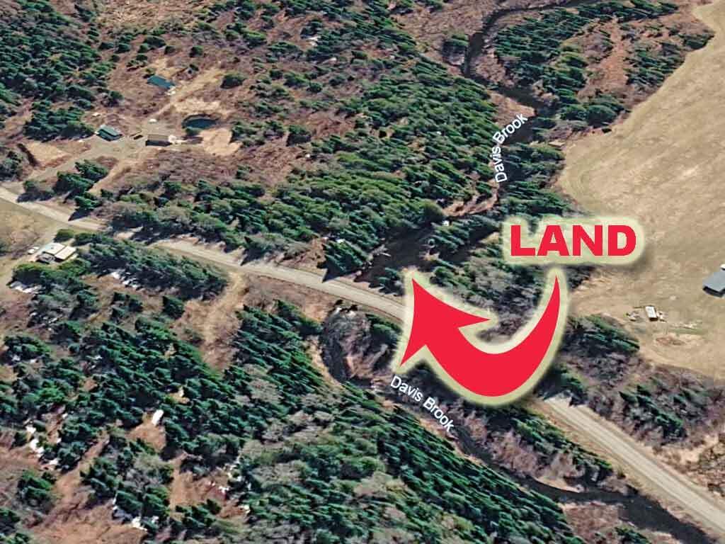 Lot 13 Wilcox Road Orient, ME 04471 - Photo 15 of 24 maine-land-cary-aerial