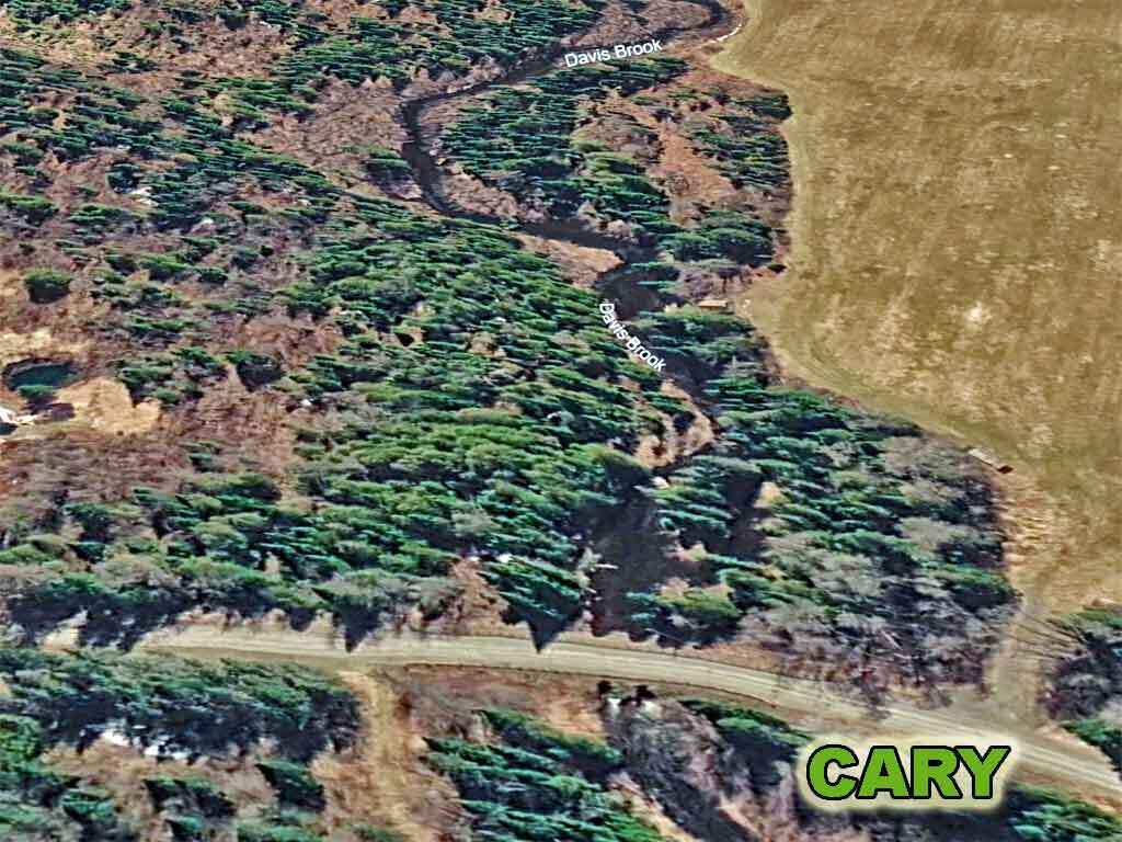 Lot 13 Wilcox Road Orient, ME 04471 - Photo 16 of 24 land-me-aroostook