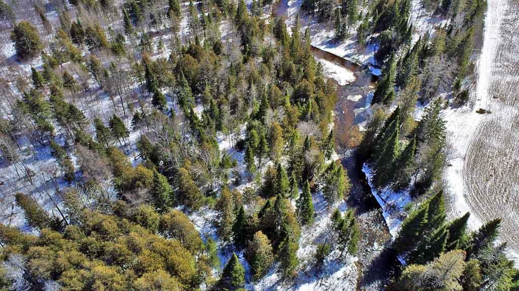Lot 13 Wilcox Road Orient, ME 04471 - Photo 17 of 24 camp-site-maine-land