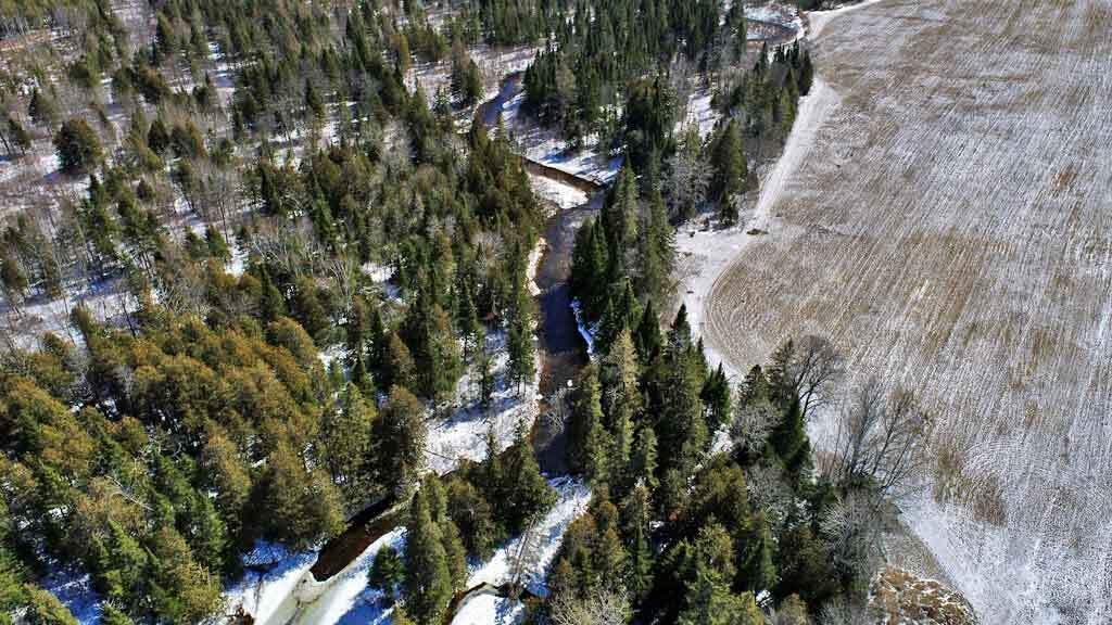 Lot 13 Wilcox Road Orient, ME 04471 - Photo 19 of 24 davis-brook-land-maine