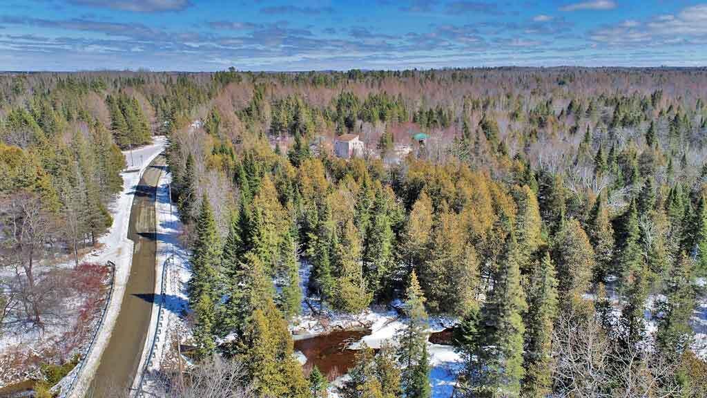 Lot 13 Wilcox Road Orient, ME 04471 - Photo 20 of 24 land-cary-wilcox-rd