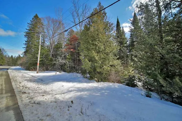 $34,900 | Lot 13 Wilcox Road, Orient, ME 04471