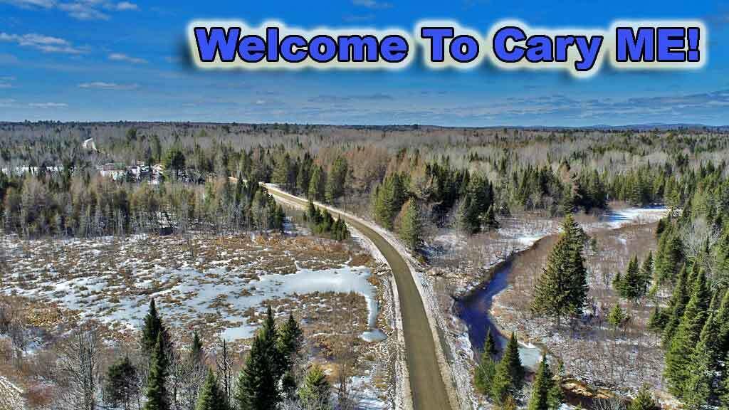 Lot 13 Wilcox Road Orient, ME 04471 - Photo 6 of 24 land-cary-maine-aerial