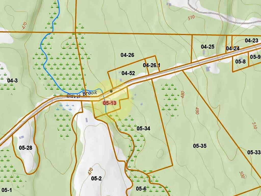 Lot 13 Wilcox Road Orient, ME 04471 - Photo 9 of 24 cary-me-topo-land-map