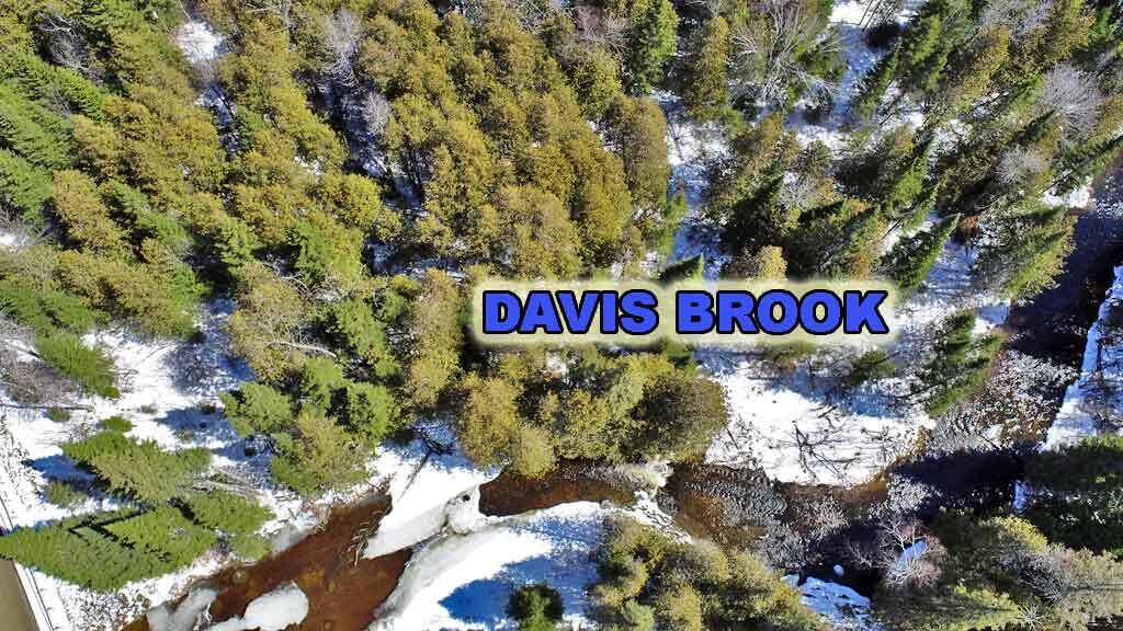 Lot 13 Wilcox Road Orient, ME 04471 - Photo 10 of 24 davis-brook-land-cary