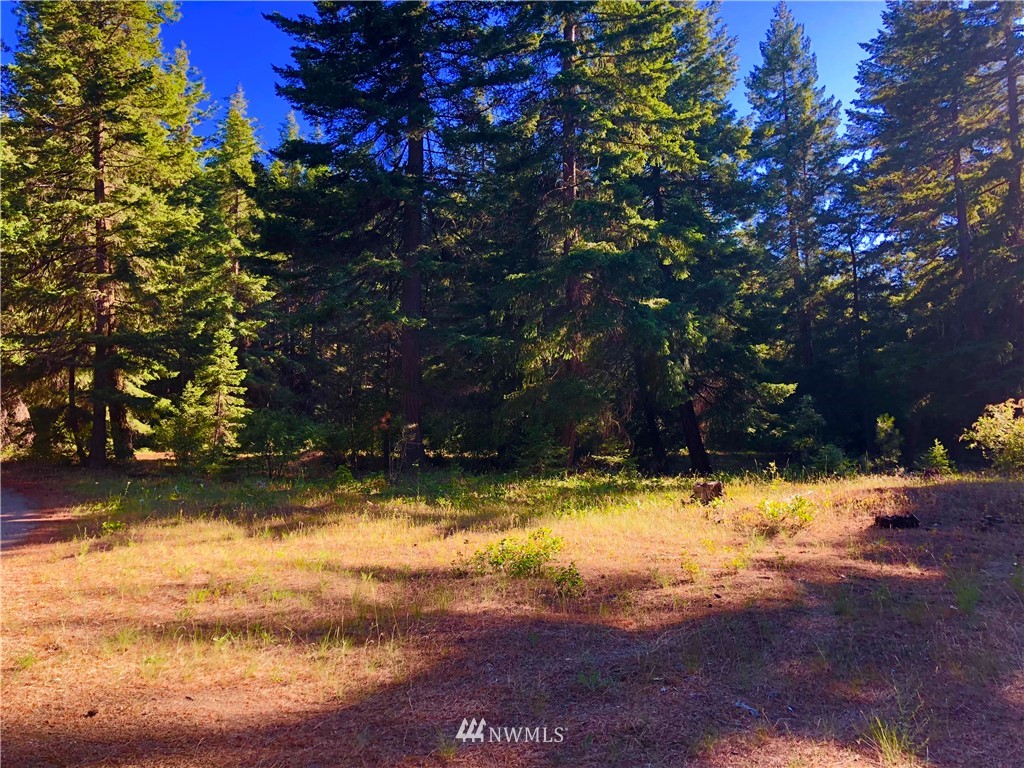 -xxx Tree Haven Road Cle Elum, WA 98922 - Photo 1 of 12 Gallery Image 1