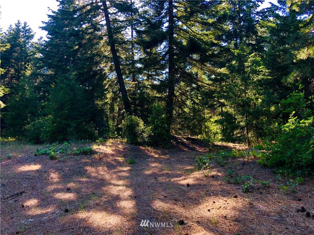 -xxx Tree Haven Road Cle Elum, WA 98922 - Photo 3 of 12 Gallery Image 3