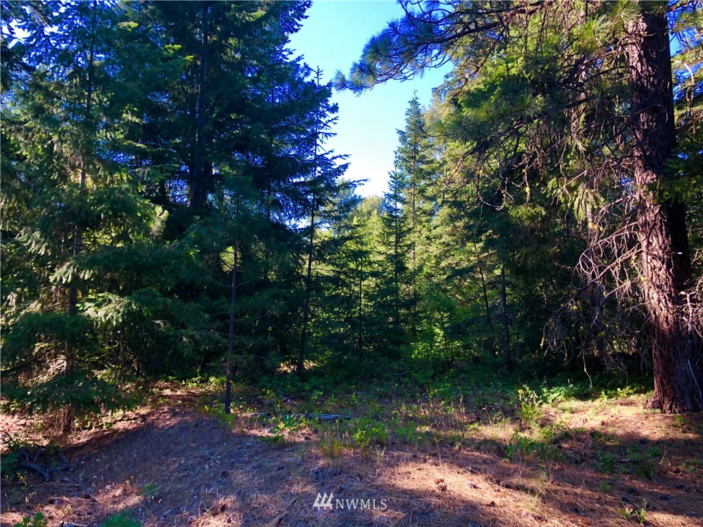 -xxx Tree Haven Road Cle Elum, WA 98922 - Photo 4 of 12 Gallery Image 4