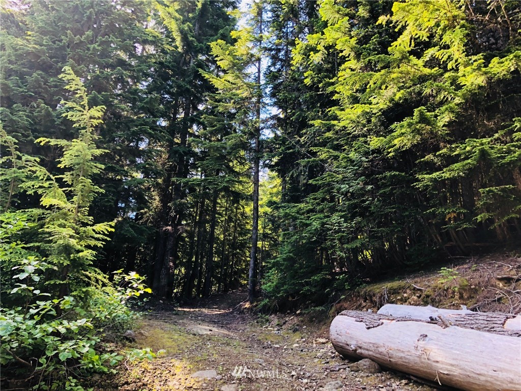 -xxx Tree Haven Road Cle Elum, WA 98922 - Photo 5 of 12 Gallery Image 5