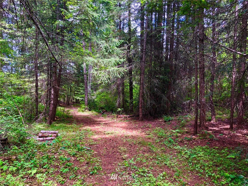 -xxx Tree Haven Road Cle Elum, WA 98922 - Photo 6 of 12 Gallery Image 6
