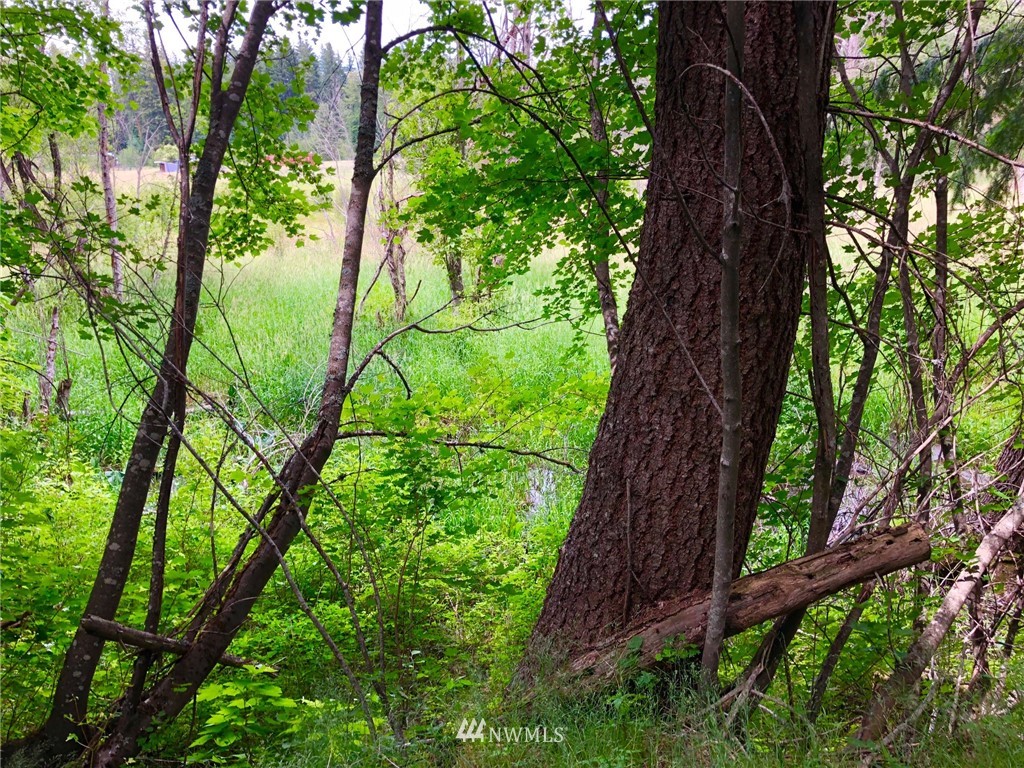 -xxx Tree Haven Road Cle Elum, WA 98922 - Photo 8 of 12 Gallery Image 8