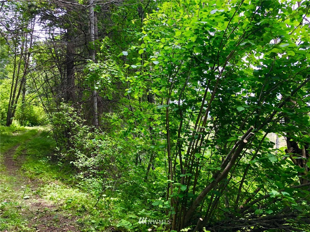 -xxx Tree Haven Road Cle Elum, WA 98922 - Photo 10 of 12 Gallery Image 10