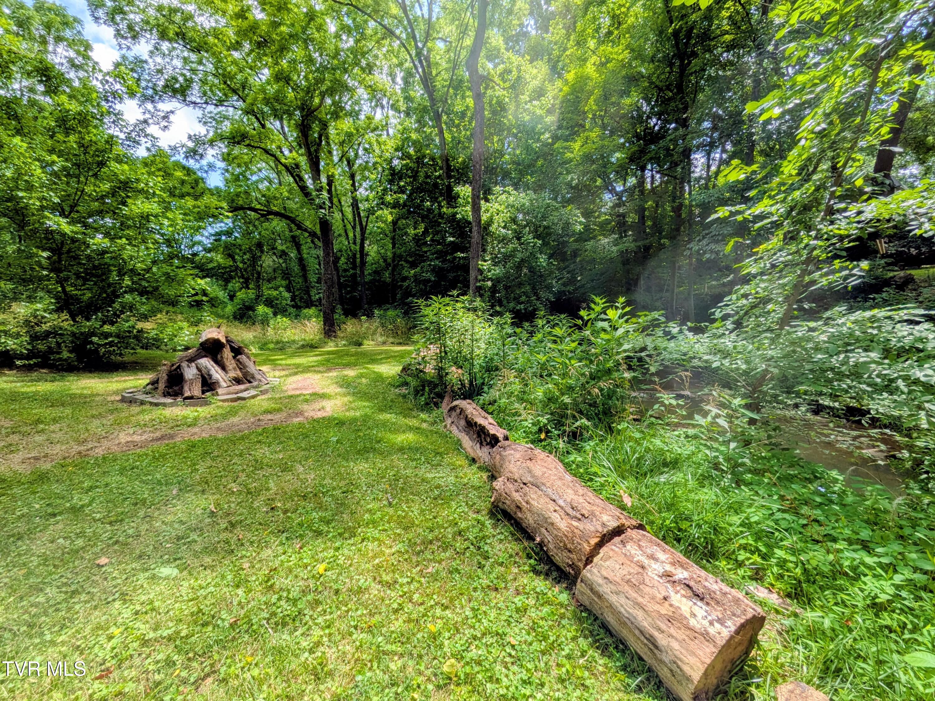 1129 Jackson Hollow Road Kingsport, TN 37663 - Photo 56 of 59 Backyard(13)