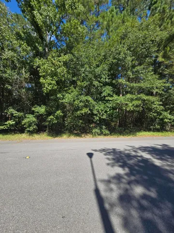 $24,900 | 0 Essex Drive, Orangeburg, SC 29118