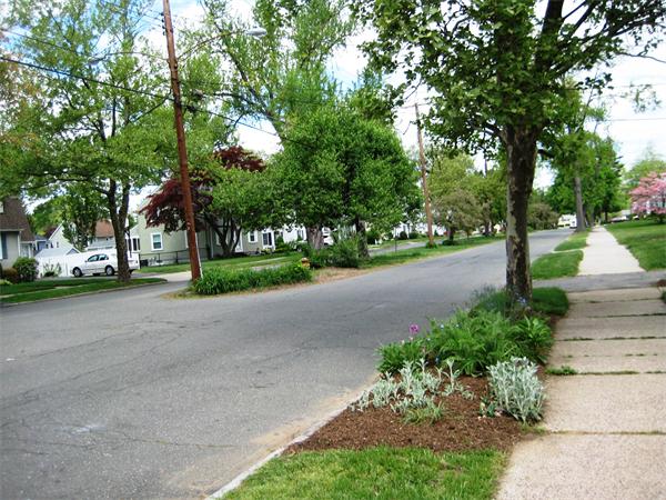 137 Gillette Avenue Springfield, MA 01118 - Photo 19 of 19 Gallery Image 19