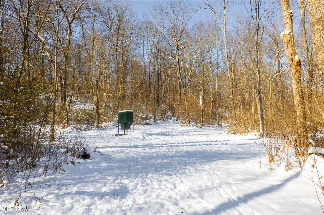 138 Township Road Coshocton, OH 43812 - Photo 6 of 47 Yard layered in snow featuring a wooded view