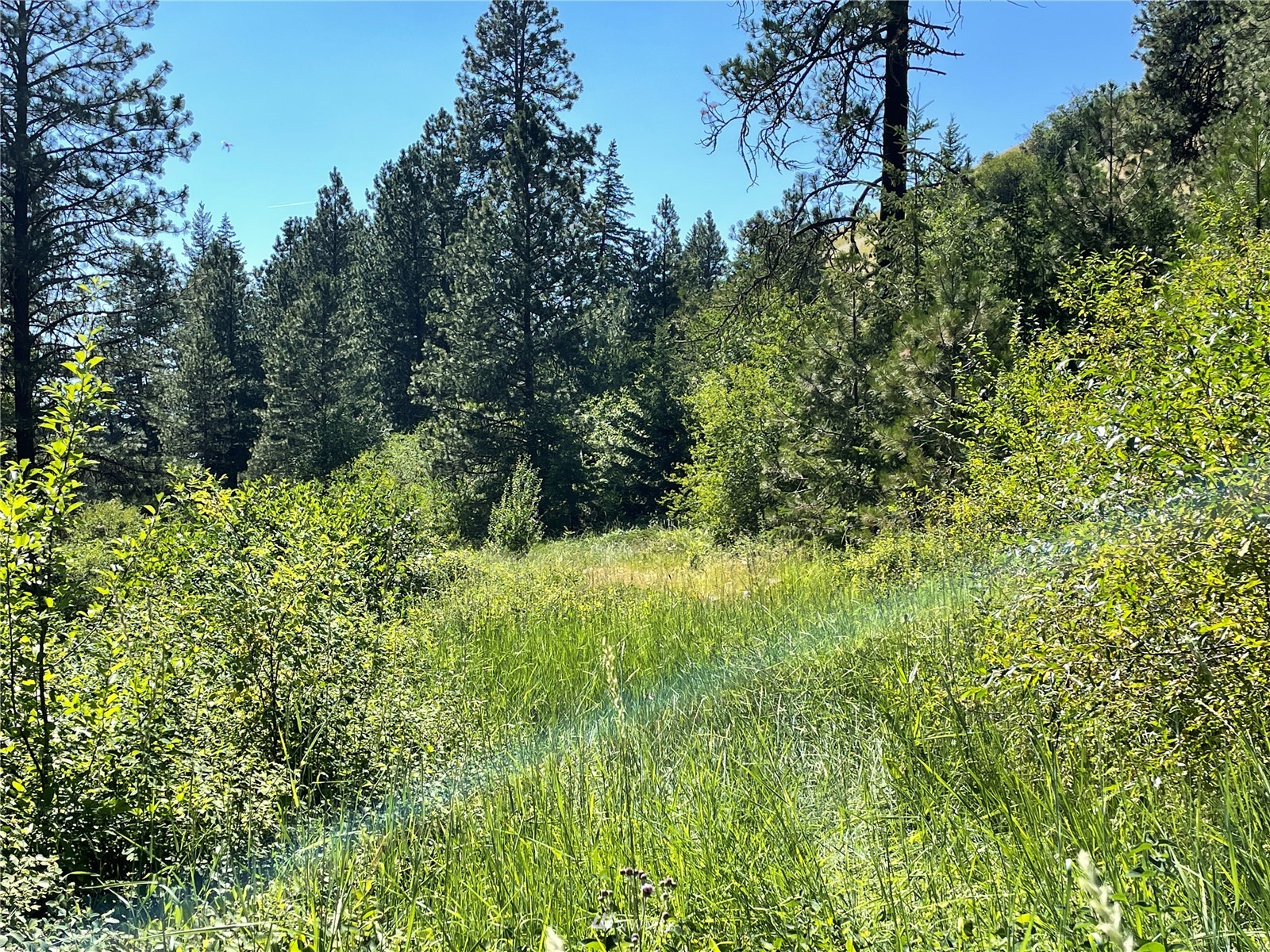 1465 Scott Road Waitsburg, WA 99361 - Photo 3 of 9 Gallery Image 3
