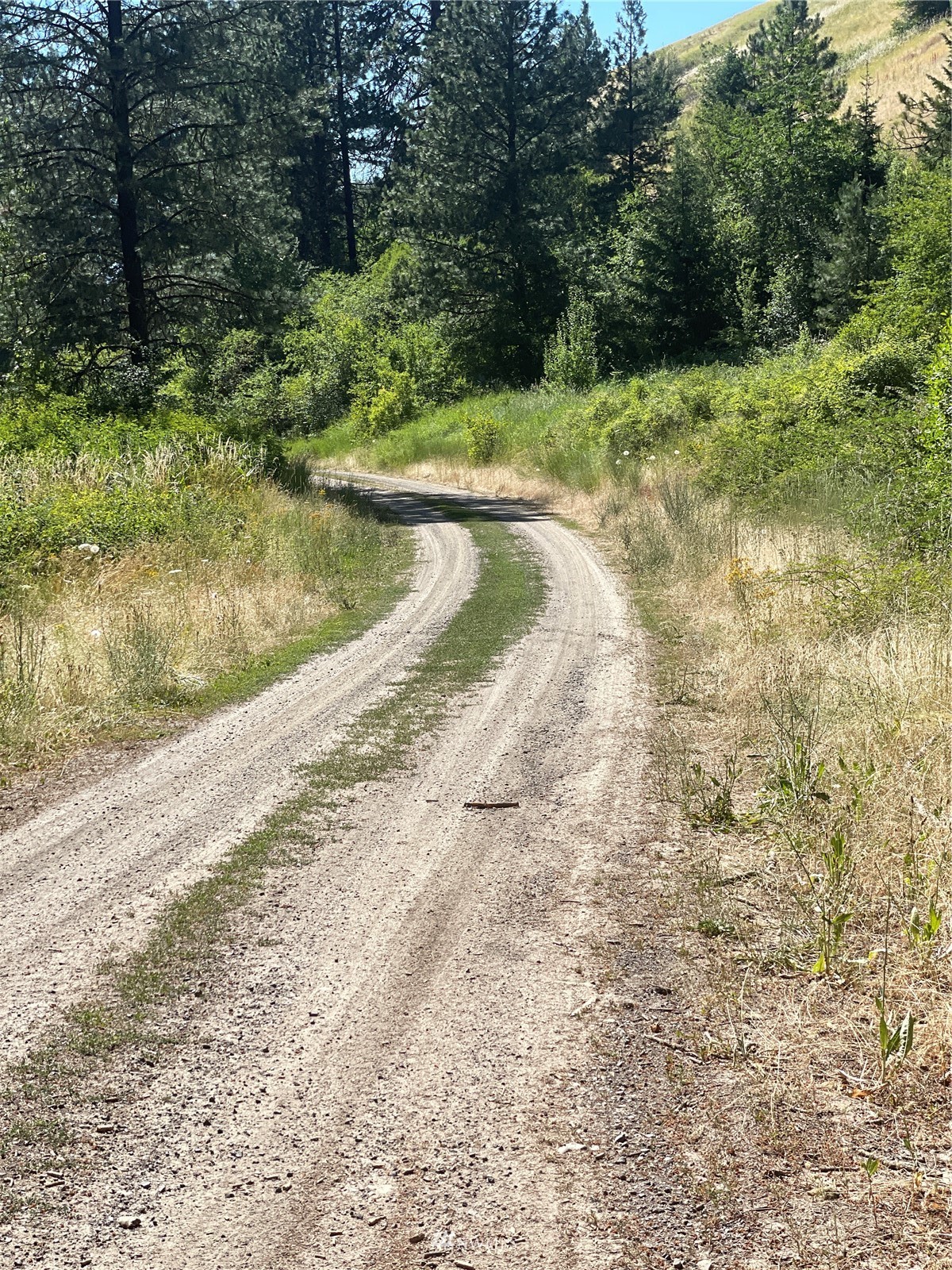 1465 Scott Road Waitsburg, WA 99361 - Photo 7 of 9 Gallery Image 7