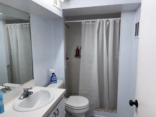a bathroom with a sink a toilet and shower curtain