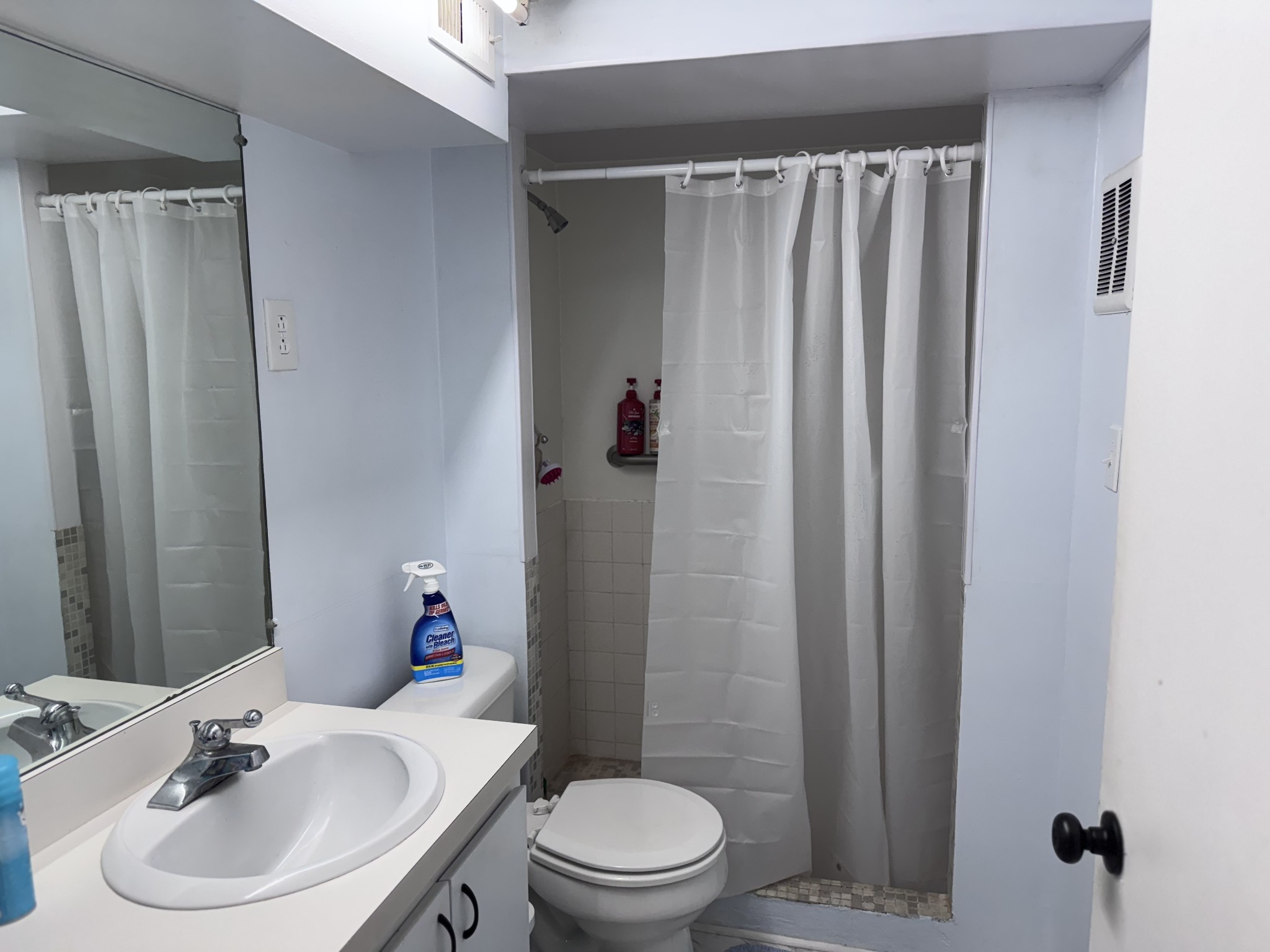 205 Draper Avenue Greenbrier, TN 37073 - Photo 24 of 27 a bathroom with a sink a toilet and shower curtain