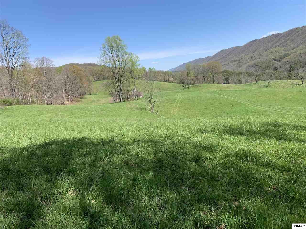 617 War Creek Road Eidson, TN 37731 - Photo 6 of 35