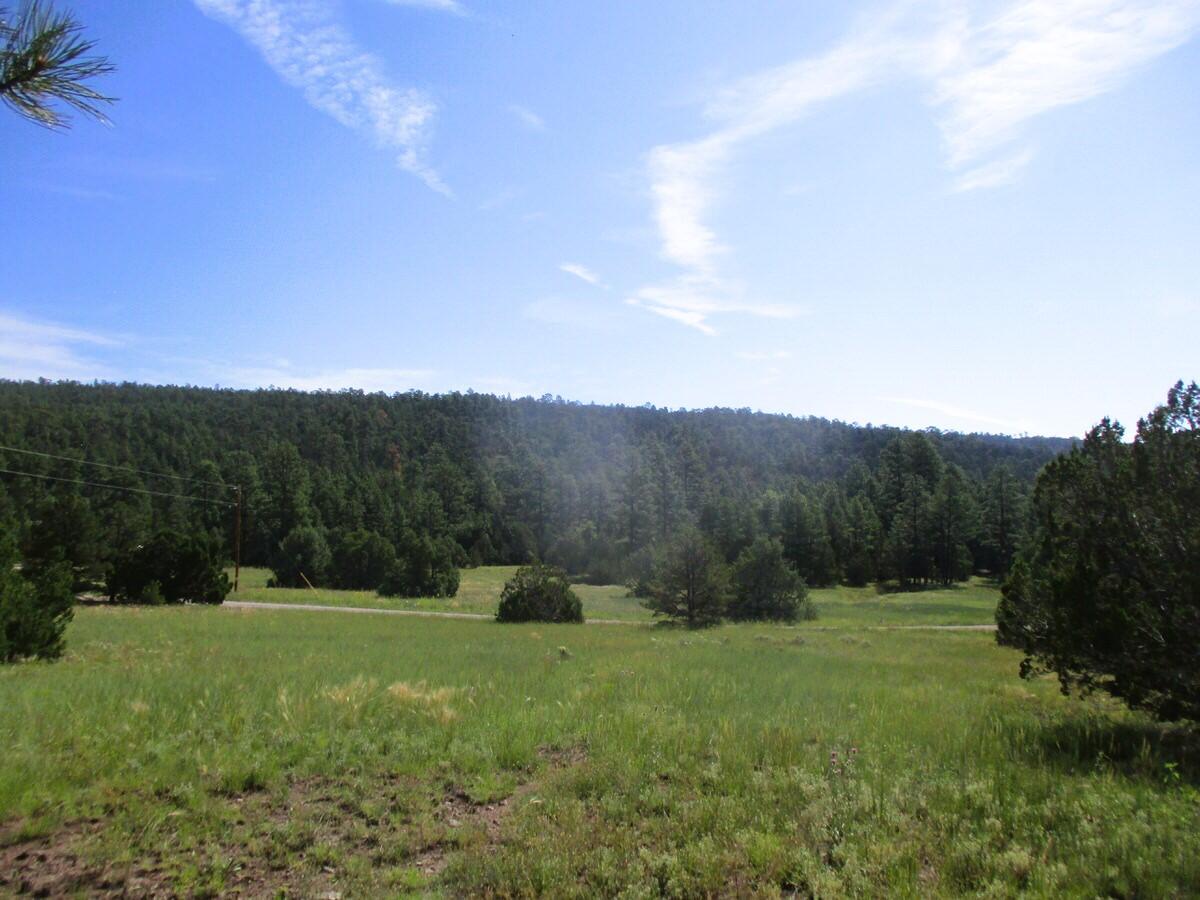 5-6 Black Bear Road Ramah, NM 87321 - Photo 20 of 64 Gallery Image 20