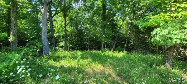 $25,000 | 155-lot 155-lot Hill Road, De Soto, MO 63020