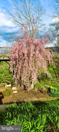 $612,000 | 74 Manor Drive, Edinburg, VA 22824