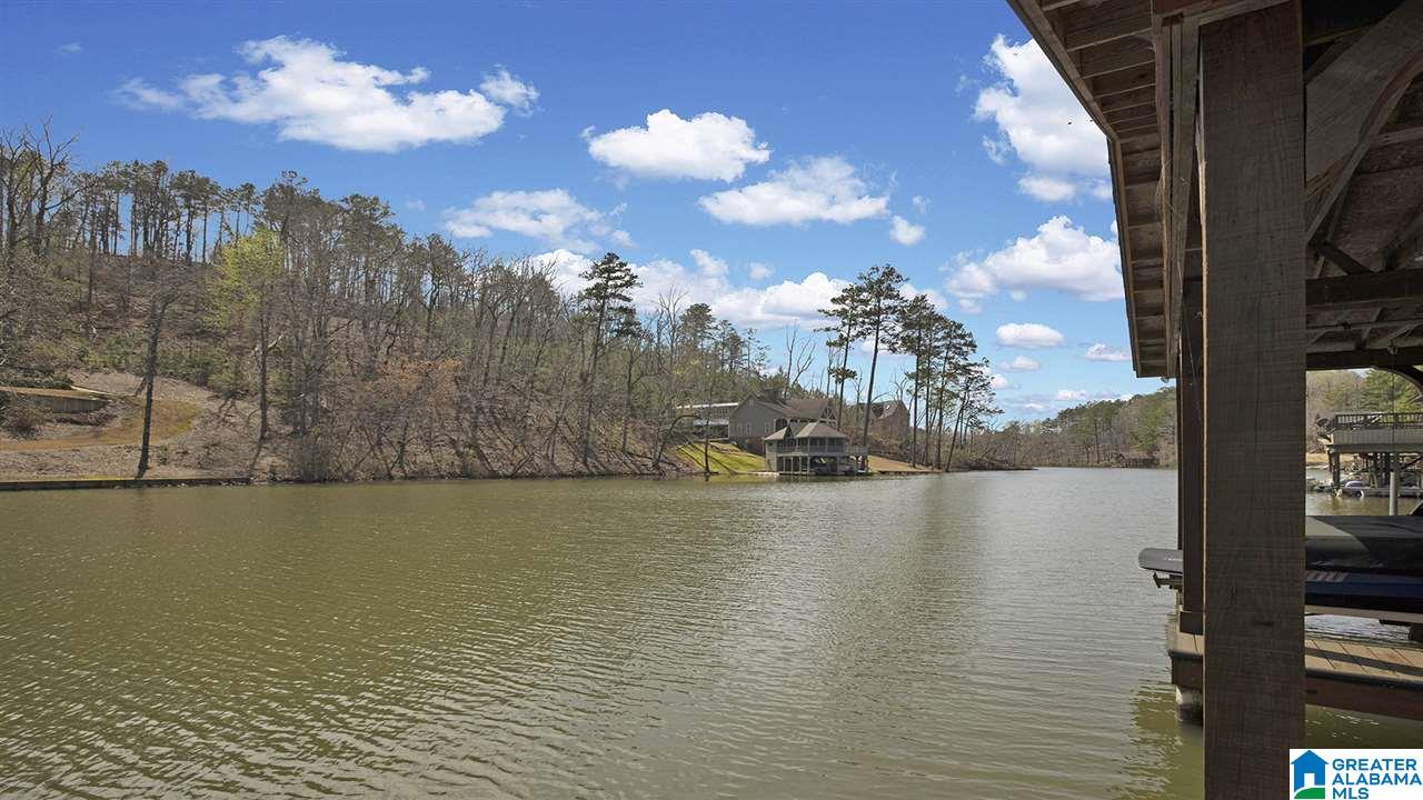 256 Big Y Cv Loop Rockford, AL 35136 - Photo 44 of 50