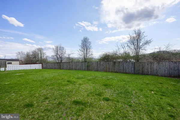 a view of a yard with a big yard