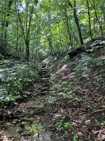 $259,400 | Tbd Franklin Hill Road, Hardin, IL 62047