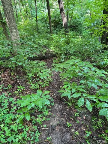 $259,400 | Tbd Franklin Hill Road, Hardin, IL 62047