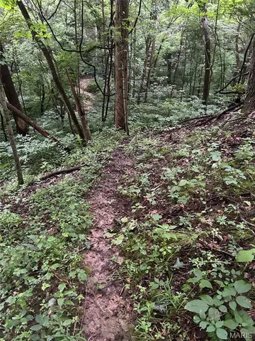 $259,400 | Tbd Franklin Hill Road, Hardin, IL 62047