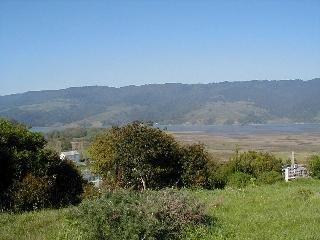 50 Mesa Road Point Reyes Station, CA 94956 - Photo 1 of 5 a view of a lush green hillside and a building